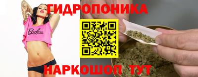 дурь Сланцы