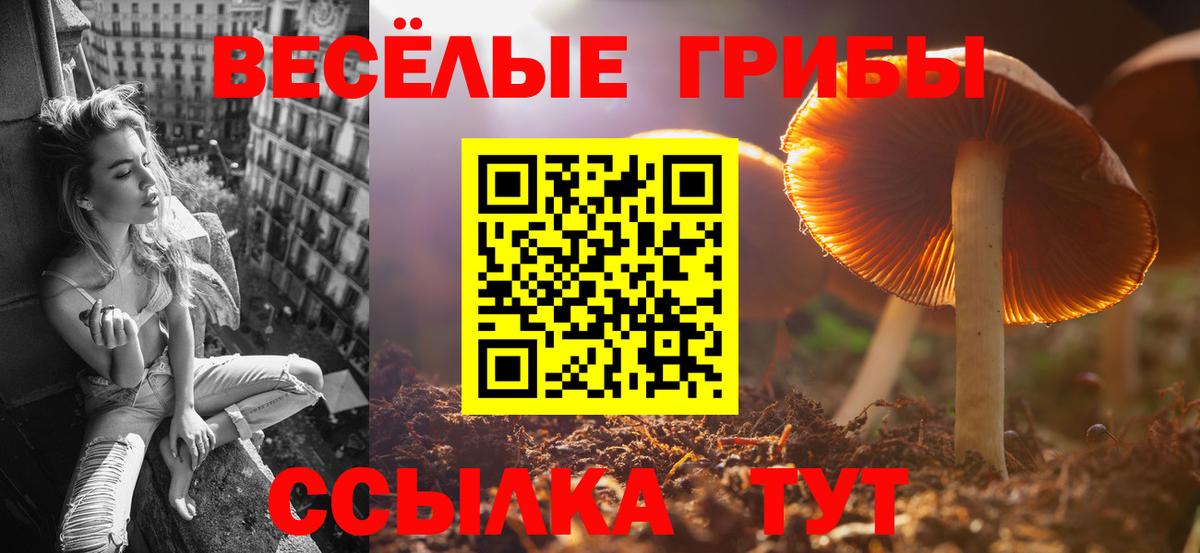 Псилоцибиновые грибы прущие грибы Пенза