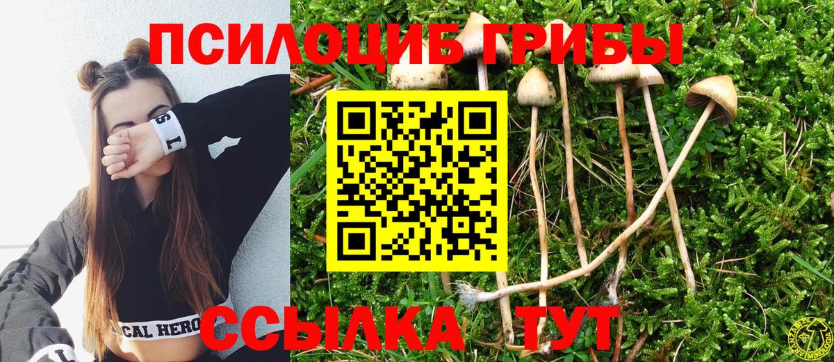 Пенза  Галлюциногенные грибы мухоморы  Вход с VPN 